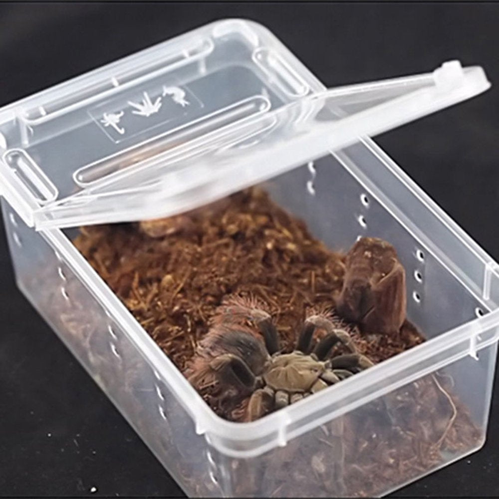 Grofry Transparent Plastic Amphibian Insect Reptile Breeding Box Transport Feeding Case Transparent