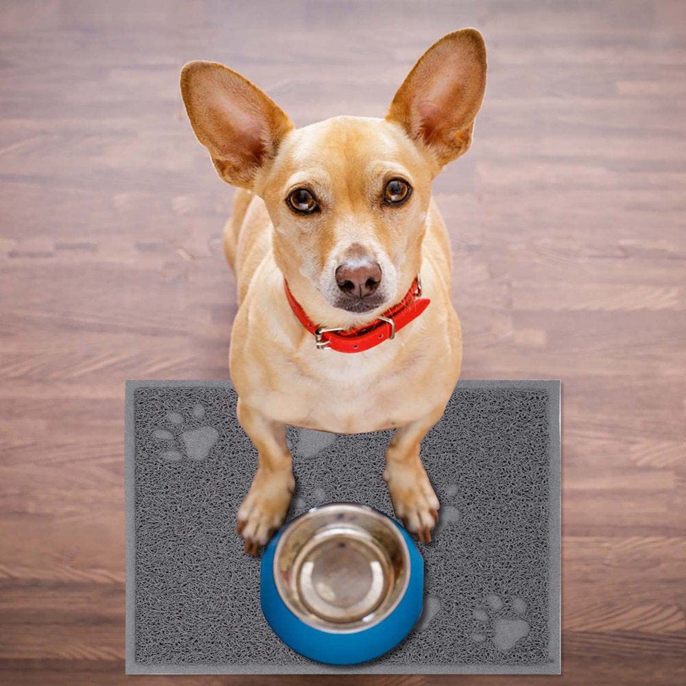 Accessories for Pets Cat Litter Mat Kitty Litter Trappings Mat for Litter Boxes Kitty Litter Mat to Trap Mess Scatter Control Washable Indoor Pet Rug and Carpet Animals & Pet Supplies > Pet Supplies > Cat Supplies > Cat Litter Box Mats Pets Accessory One Size Gray 