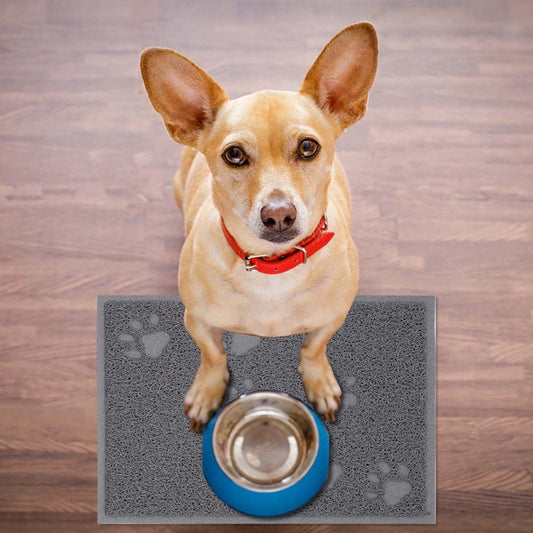 Accessories for Pets Cat Litter Mat Kitty Litter Trappings Mat for Litter Boxes Kitty Litter Mat to Trap Mess Scatter Control Washable Indoor Pet Rug and Carpet Animals & Pet Supplies > Pet Supplies > Cat Supplies > Cat Litter Box Mats Pets Accessory One Size Gray 