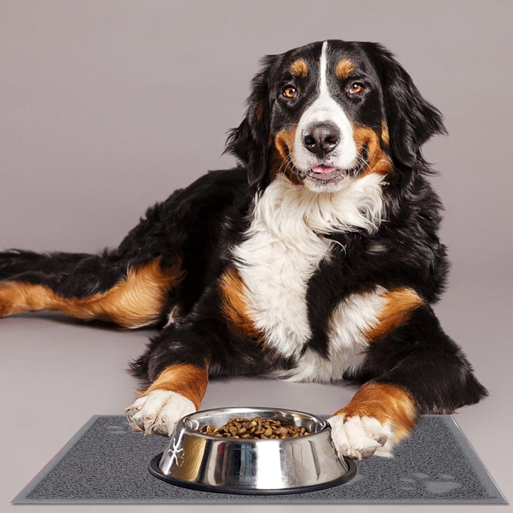 Accessories for Pets Cat Litter Mat Kitty Litter Trappings Mat for Litter Boxes Kitty Litter Mat to Trap Mess Scatter Control Washable Indoor Pet Rug and Carpet Animals & Pet Supplies > Pet Supplies > Cat Supplies > Cat Litter Box Mats Pets Accessory   