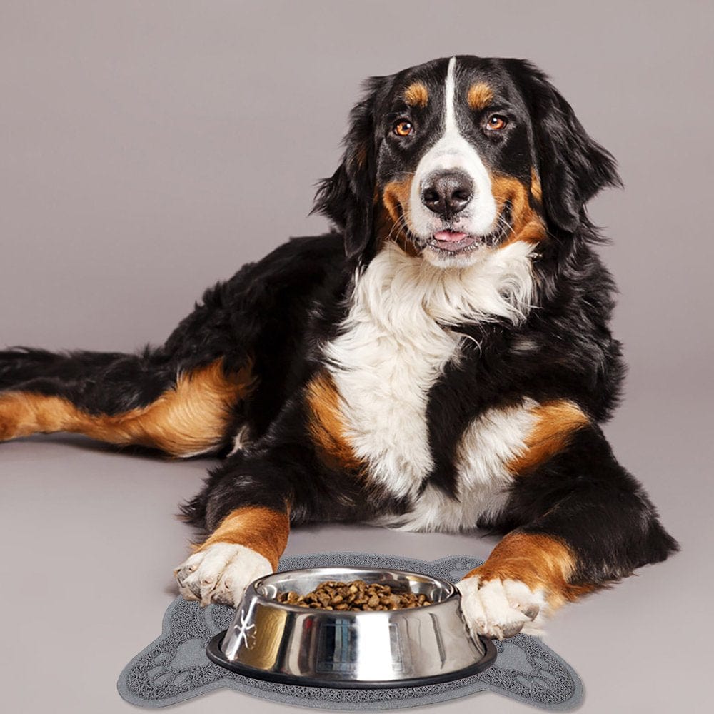 Accessories for Pets Cat Litter Mat Kitty Litter Trappings Mat for Litter Boxes Kitty Litter Mat to Trap Mess Scatter Control Washable Indoor Pet Rug and Carpet Animals & Pet Supplies > Pet Supplies > Cat Supplies > Cat Litter Box Mats Pets Accessory   