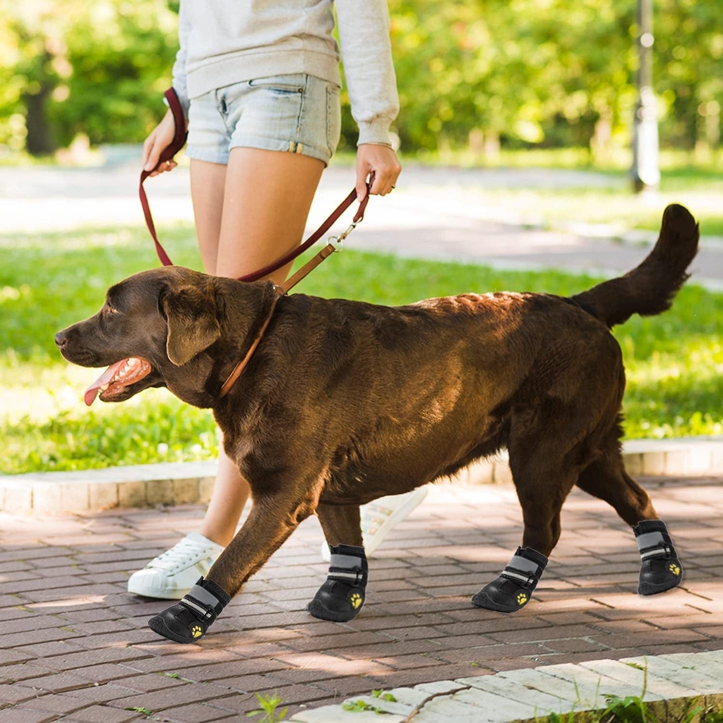 Ace Row Dog Boots | Dog Shoes for Hot Pavement with Anti-Slip Sole | Waterproof and Reflective Dog Rain Boots | Protective and Comfortable Dog Boots for Winter (Black, 5) (HC-SH001) Animals & Pet Supplies > Pet Supplies > Dog Supplies > Dog Apparel Ace Row   