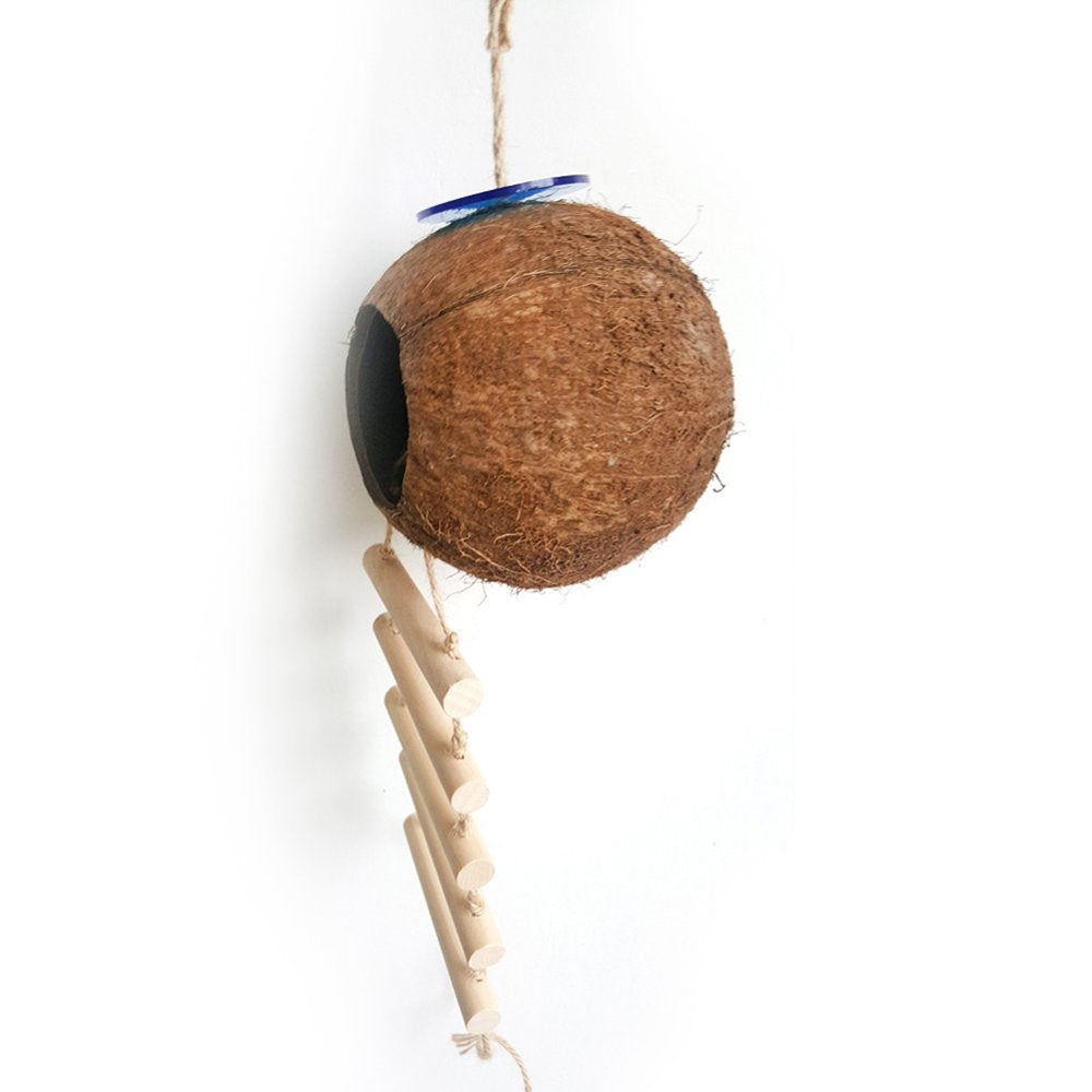 AURORA TRADE Hanging Coconut Bird House with Ladder,Natural Coconut Fiber Shell Bird Nest for Parrot Parakeet Lovebird Finch Canary,Coconut Hide Bird Swing Toys for Hamster,Bird Cage Accessories Animals & Pet Supplies > Pet Supplies > Bird Supplies > Bird Cage Accessories AURORA TRADE   