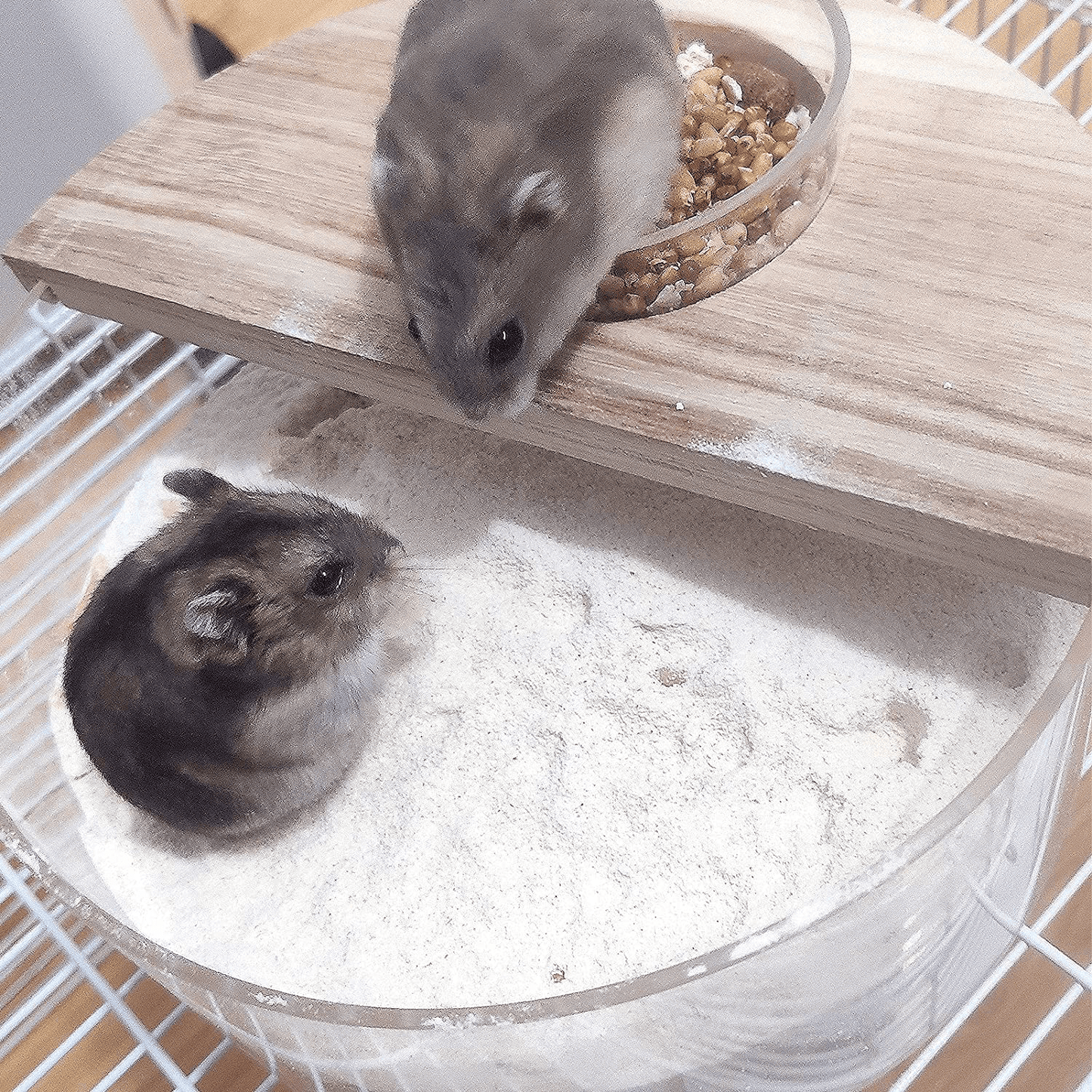 Acrylic Small Pets Sand Bath Box with Tiny Pet Bowl- Assemble Hamster Shower & Digging Sand Bathtub Rat Hamster Hideout Sand Bath Container for Lemming Chinchilla Gerbil Little Animal Animals & Pet Supplies > Pet Supplies > Small Animal Supplies > Small Animal Habitat Accessories Biggun   