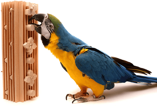 Activity Block - Large Parrot Toy