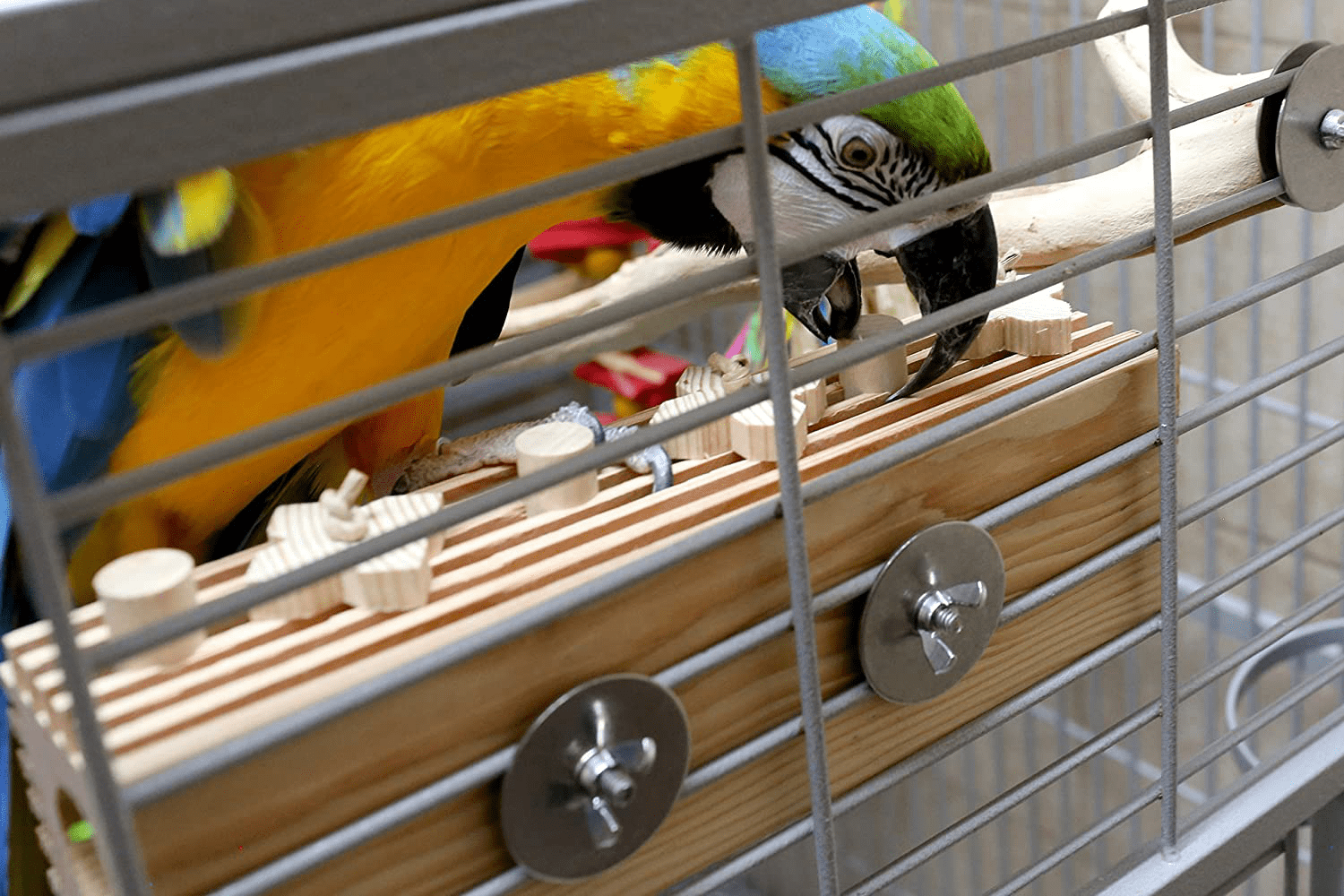 Activity Block - Large Parrot Toy Animals & Pet Supplies > Pet Supplies > Bird Supplies > Bird Toys Parrot Wizard   