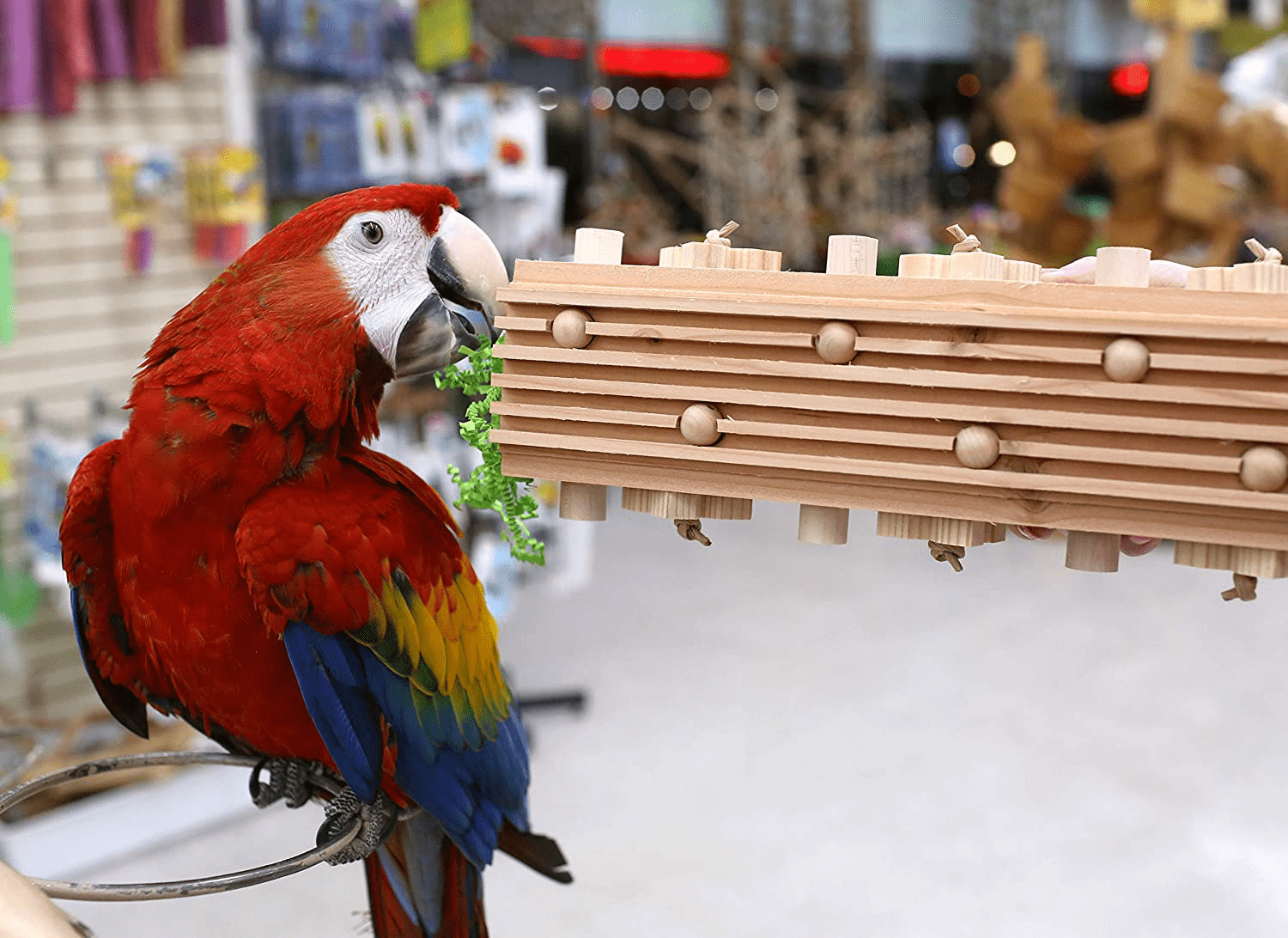 Activity Block - Large Parrot Toy