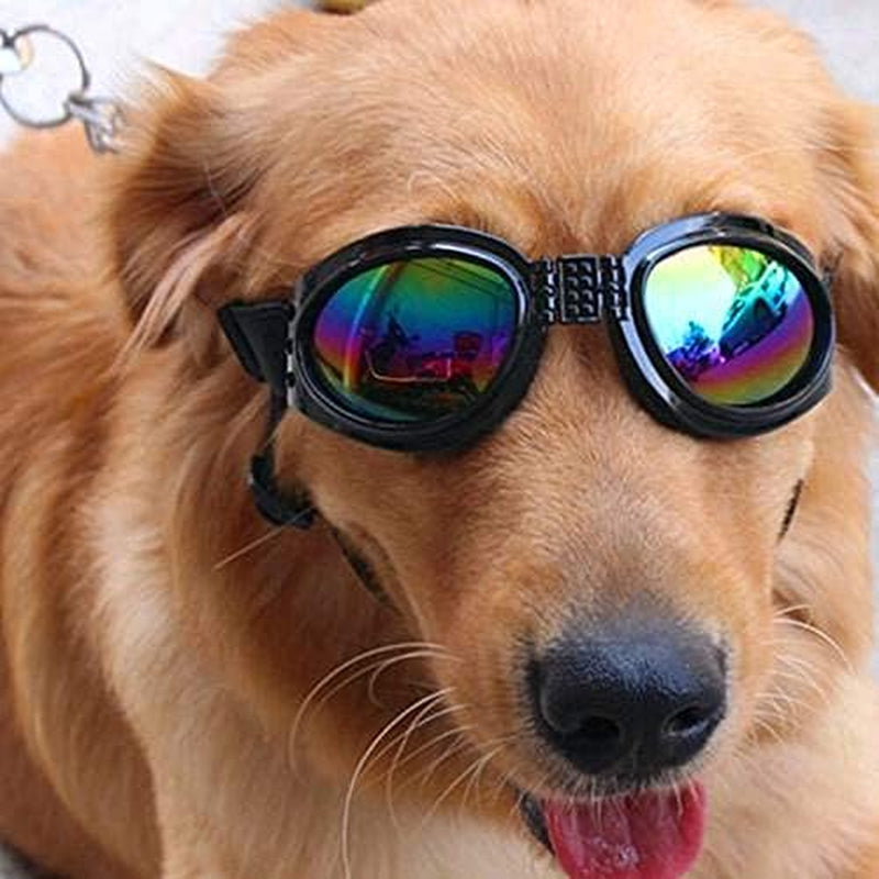 DPLUS Dog Goggles Dog Sunglasses - Glasses Set of 6 - for Dogs Dog Ski Goggles with UV Protection Pet Sunglasses with Adjustable Strap for Travel, Skiing and Anti-Fog Animals & Pet Supplies > Pet Supplies > Dog Supplies > Dog Apparel Dplus   