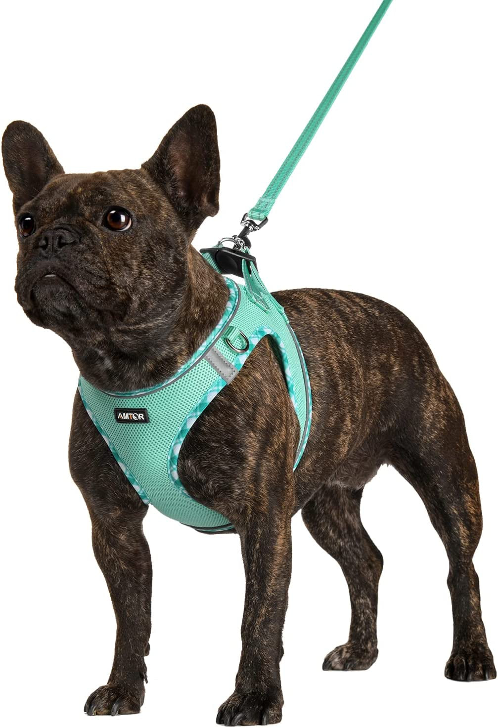 AMTOR Dog Harness with Leash Set,No Pull Adjustable Reflective Step-In Puppy Harness with Padded Vest for Extra-Small/Small Medium Large Dogs and Cats(Beige) Animals & Pet Supplies > Pet Supplies > Dog Supplies > Dog Apparel AMTOR LightGreen XXSmall(Chest:10.0"-11.5") 