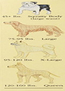 Seasonals 41116HFL Washable Female Dog Diaper, Hot Flames - Extra Large Animals & Pet Supplies > Pet Supplies > Dog Supplies > Dog Diaper Pads & Liners Seasonals   
