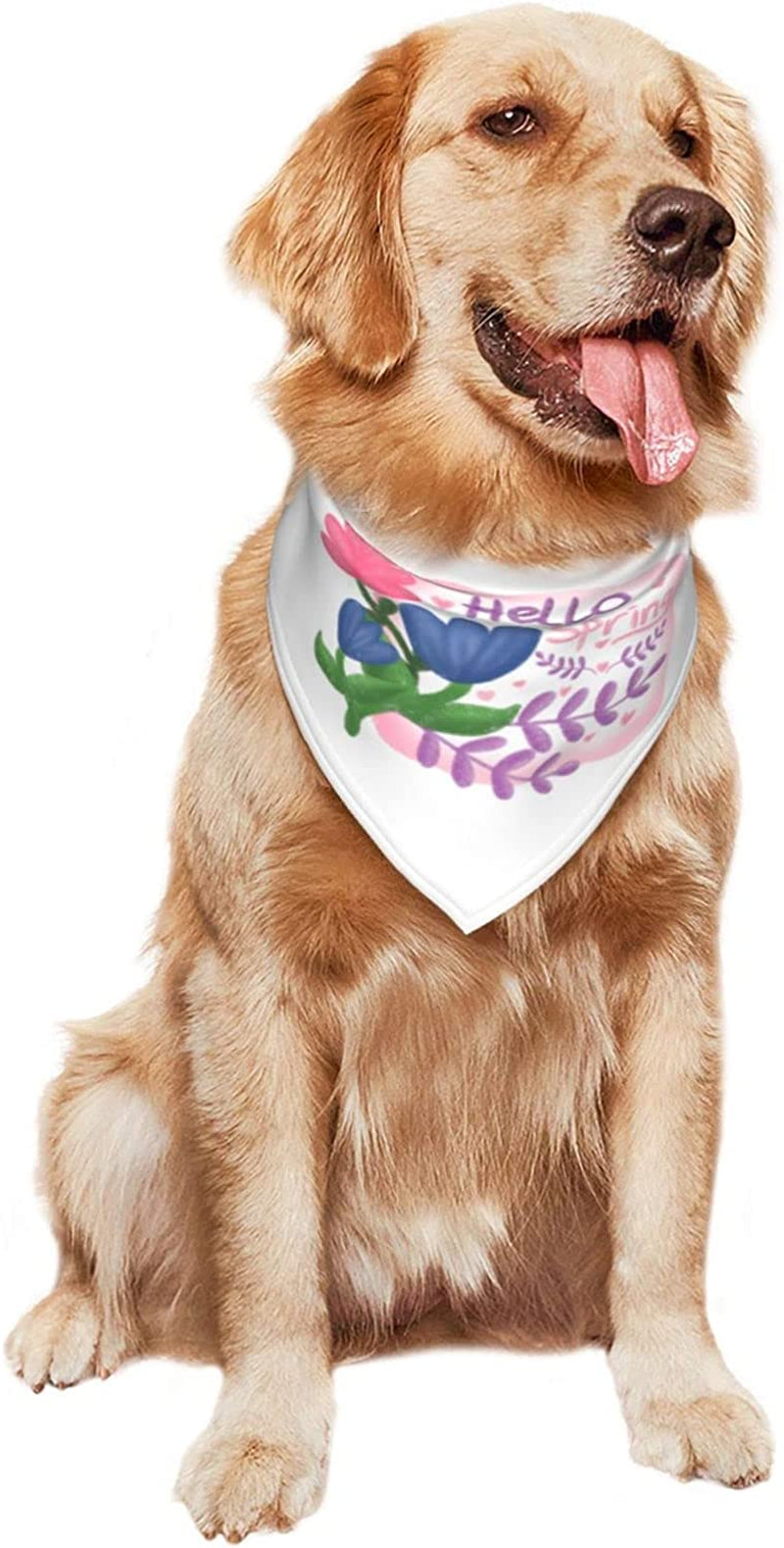 Floral Labels Hello Spring Blue Pet Dog and Cat Decorative Triangle Scarf,Dog Bandana,Breathable and Stain Resistant. Animals & Pet Supplies > Pet Supplies > Dog Supplies > Dog Apparel ZALTAS   