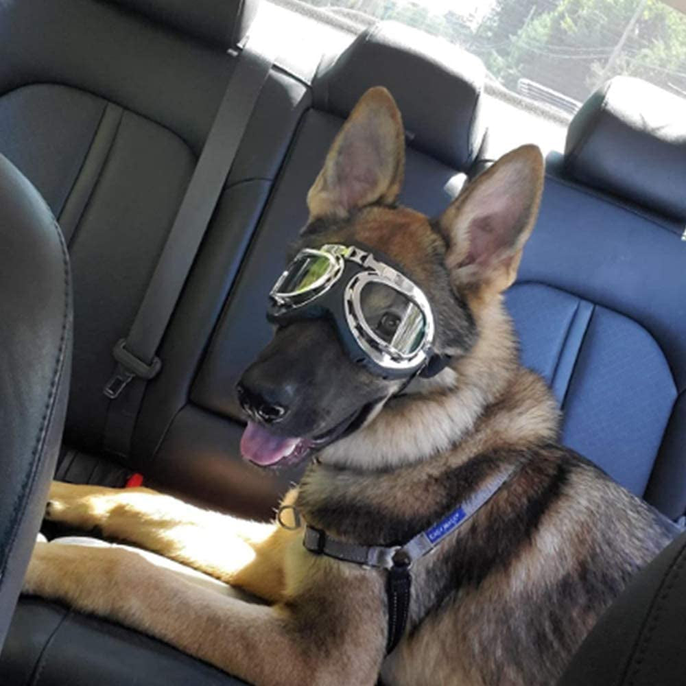 Tylu Dog Goggles Dog Sunglasses Eye Protection Steampunk Motorcycle Glasses with Elastic Adjustable Strap UV Protection Dustproof for Medium Large Breed Outdoor Driving Cycling Skiing Animals & Pet Supplies > Pet Supplies > Dog Supplies > Dog Apparel Tylu   