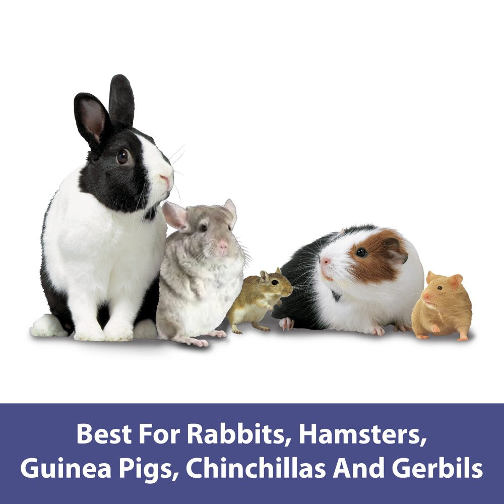 Kaytee Forti-Diet Apple Orchard Treat Sticks, 10 Count Animals & Pet Supplies > Pet Supplies > Small Animal Supplies > Small Animal Food Central Garden and Pet   