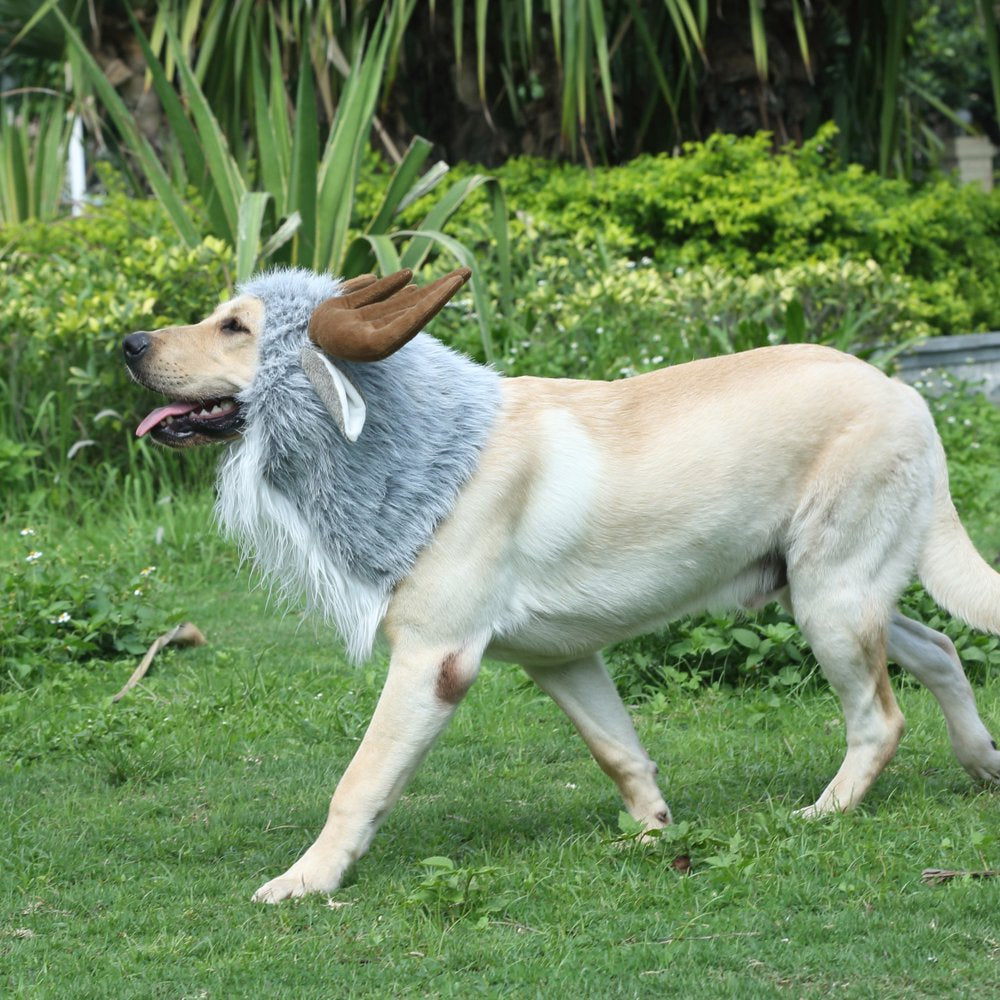 Lion Mane Wig for Dogs Funny Pet Cat Costumes for Halloween