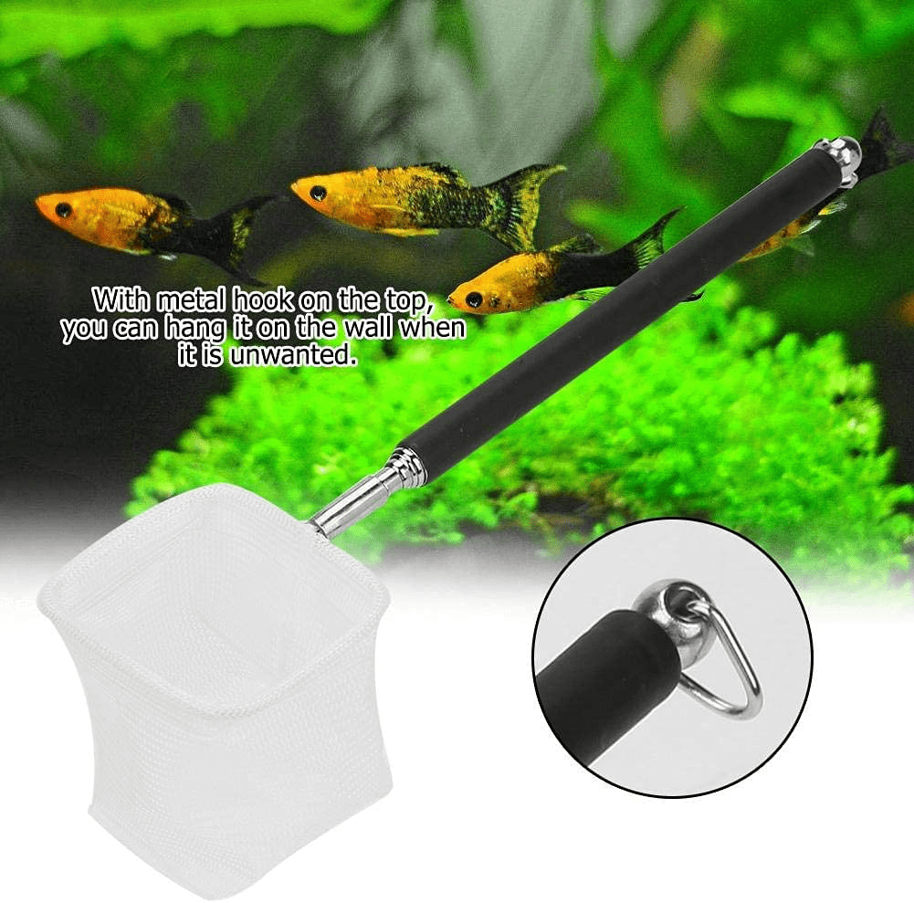 Adjustable Mini Fishing Net Pole for Aquarium Tank Shrimp 20-57.5Cm Expandable (Black Square) Animals & Pet Supplies > Pet Supplies > Fish Supplies > Aquarium Fish Nets Fdit   