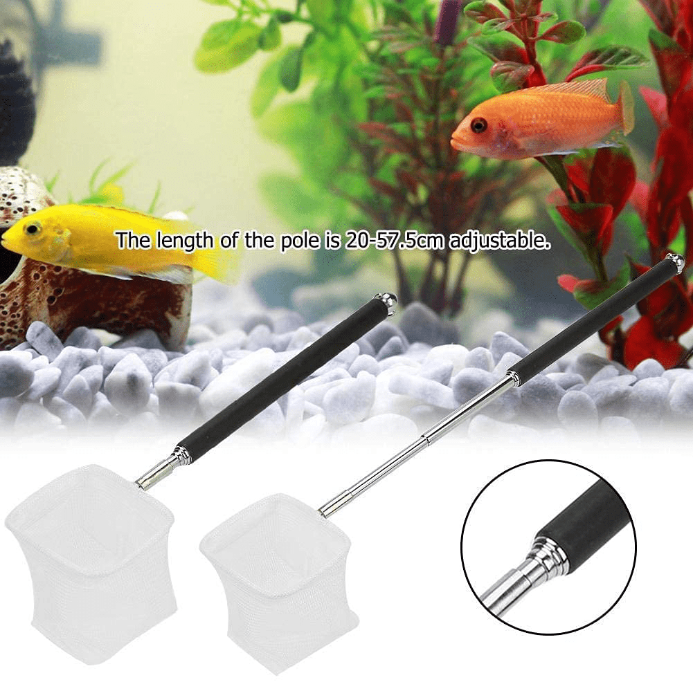 Adjustable Mini Fishing Net Pole for Aquarium Tank Shrimp 20-57.5Cm Expandable (Black Square) Animals & Pet Supplies > Pet Supplies > Fish Supplies > Aquarium Fish Nets Fdit   