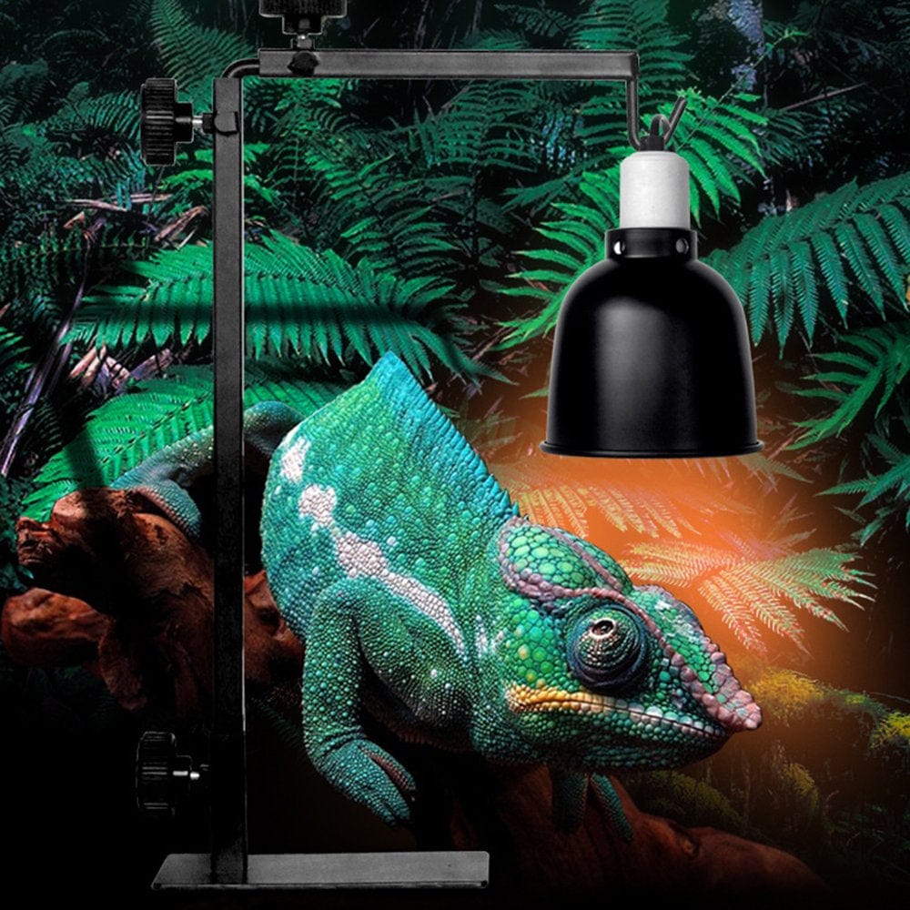 Adjustable Reptile Lamp Stand Telescopic Metal Heating Light Holder Aquarium Fish Lamp Bracket Animals & Pet Supplies > Pet Supplies > Reptile & Amphibian Supplies > Reptile & Amphibian Habitat Heating & Lighting Jooan   
