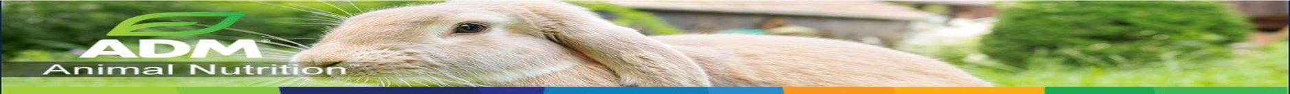 ADM Animal Nutrition Pen Pals Rabbit Mini Pellet, 25 Lb Bag Animals & Pet Supplies > Pet Supplies > Small Animal Supplies > Small Animal Food ADM ANIMAL NUTRITION   