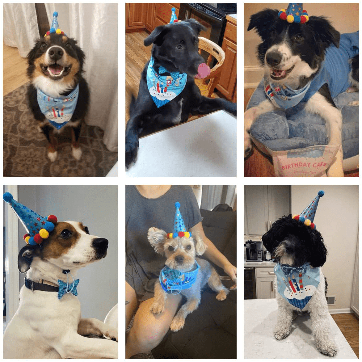 ADOGGYGO Dog Birthday Bandana Scarf and Dog Girl Boy Birthday Party Hat with Cute Dog Bow Tie Collar for Small Medium Dog Pet