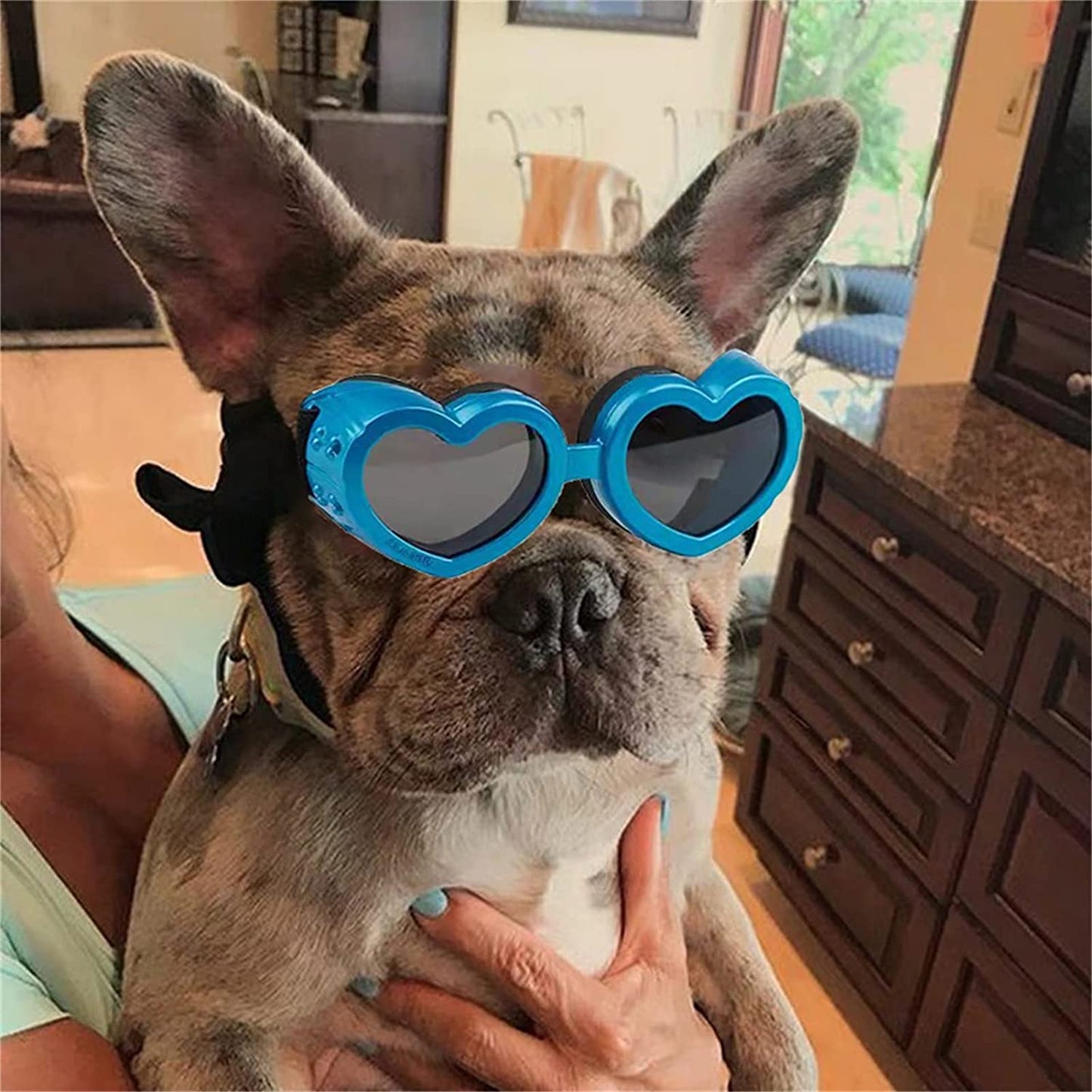 Lamphle Pet Eyewear Exquisite Shape Ultra-Light No Odor Love-Heart Shaped Doggy Sunglasses Pet Goggles Birthday Gift Pink Animals & Pet Supplies > Pet Supplies > Dog Supplies > Dog Apparel lamphle   