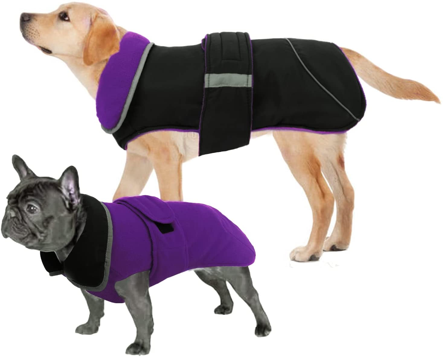 LETSQK Dog Coat, Waterproof and Windproof Dog Jacket, Reflective Safety Dog Vest, Thick Padded Warm Comfortable for Small, Medium & Large Dogs Indoor and Outdoor Use, Purplr, 2XL Animals & Pet Supplies > Pet Supplies > Dog Supplies > Dog Apparel LETSQK Purple XX-Large 