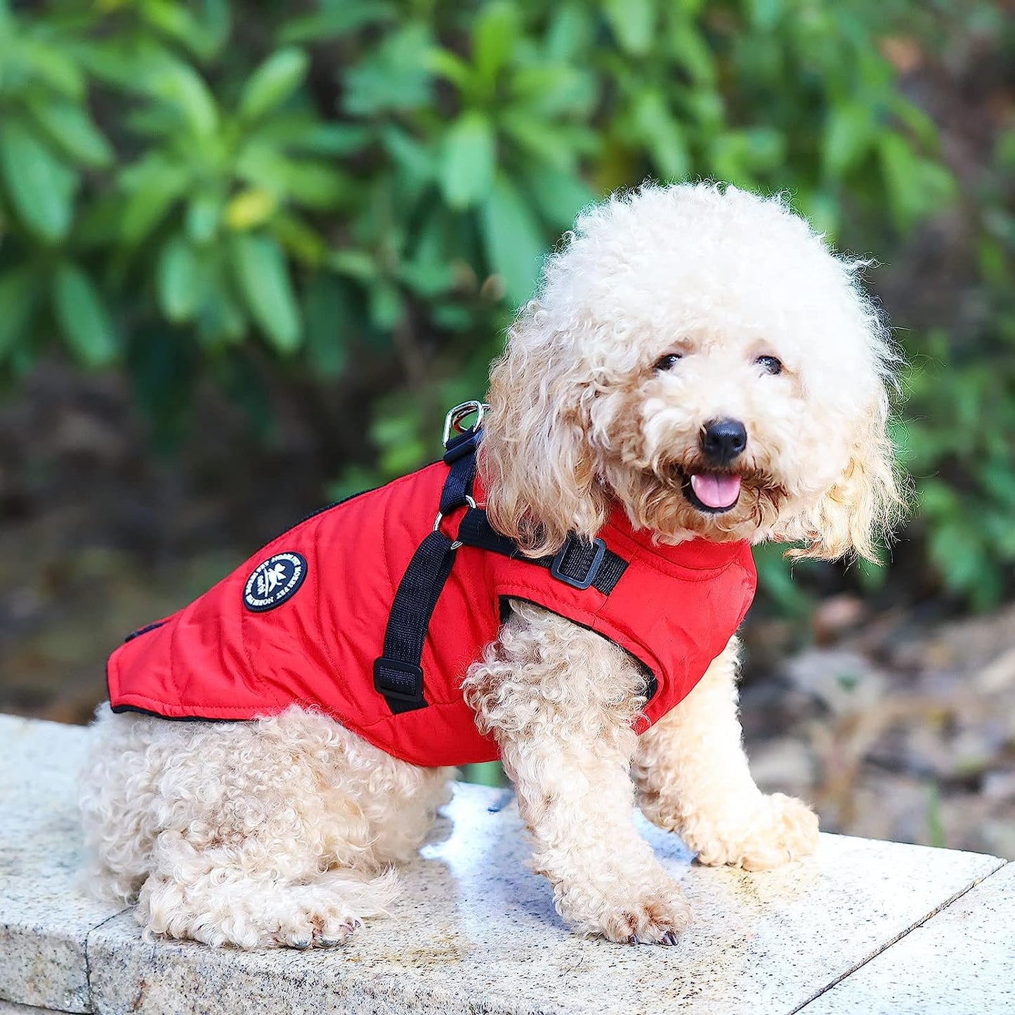 Norbi Pet Warm Jacket Small Dog Vest Harness Puppy Winter 2 in 1 Outfit Cold Weather Coat (M, Red) Animals & Pet Supplies > Pet Supplies > Dog Supplies > Dog Apparel Norbi   