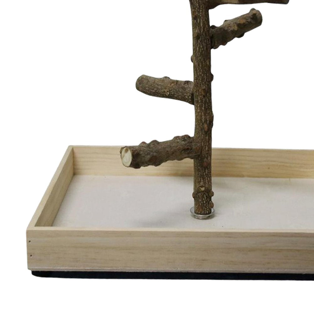 Bird Perch Stand Tabletop,Parrot Playground Bird Gym Natural Wooden Perch Play 36X36X25Cm Animals & Pet Supplies > Pet Supplies > Bird Supplies > Bird Gyms & Playstands Gazechimp   