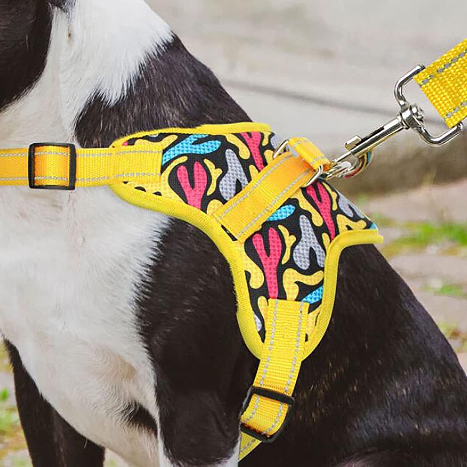 AEEDEA Small Dog Harness with Leash Set, Dog Vest Harness for Puppy Dogs Medium Dogs, Comfortable Air Mesh Dog Vest Harness with Reflective Strip,Yellow,L Animals & Pet Supplies > Pet Supplies > Dog Supplies > Dog Apparel AEEDEA   