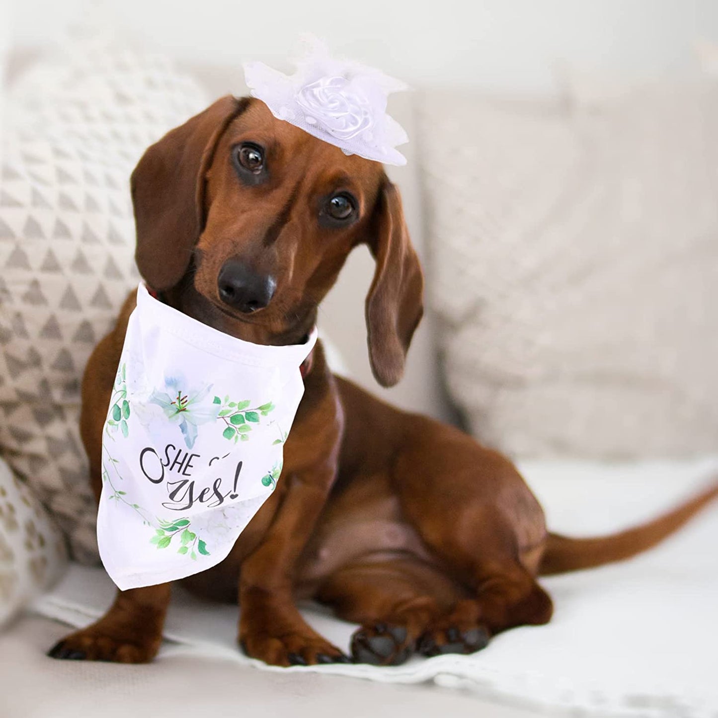 Ipetboom Home Decor 2Pcs Wedding Pet Dog Bandana Dog Bibs Pet Scarf Dog She Said Yes Engagement Wedding Party Bridal Shower Photo Prop Pet Accessories for Dog Lovers Gift White Wedding Decor Animals & Pet Supplies > Pet Supplies > Dog Supplies > Dog Apparel Ipetboom   