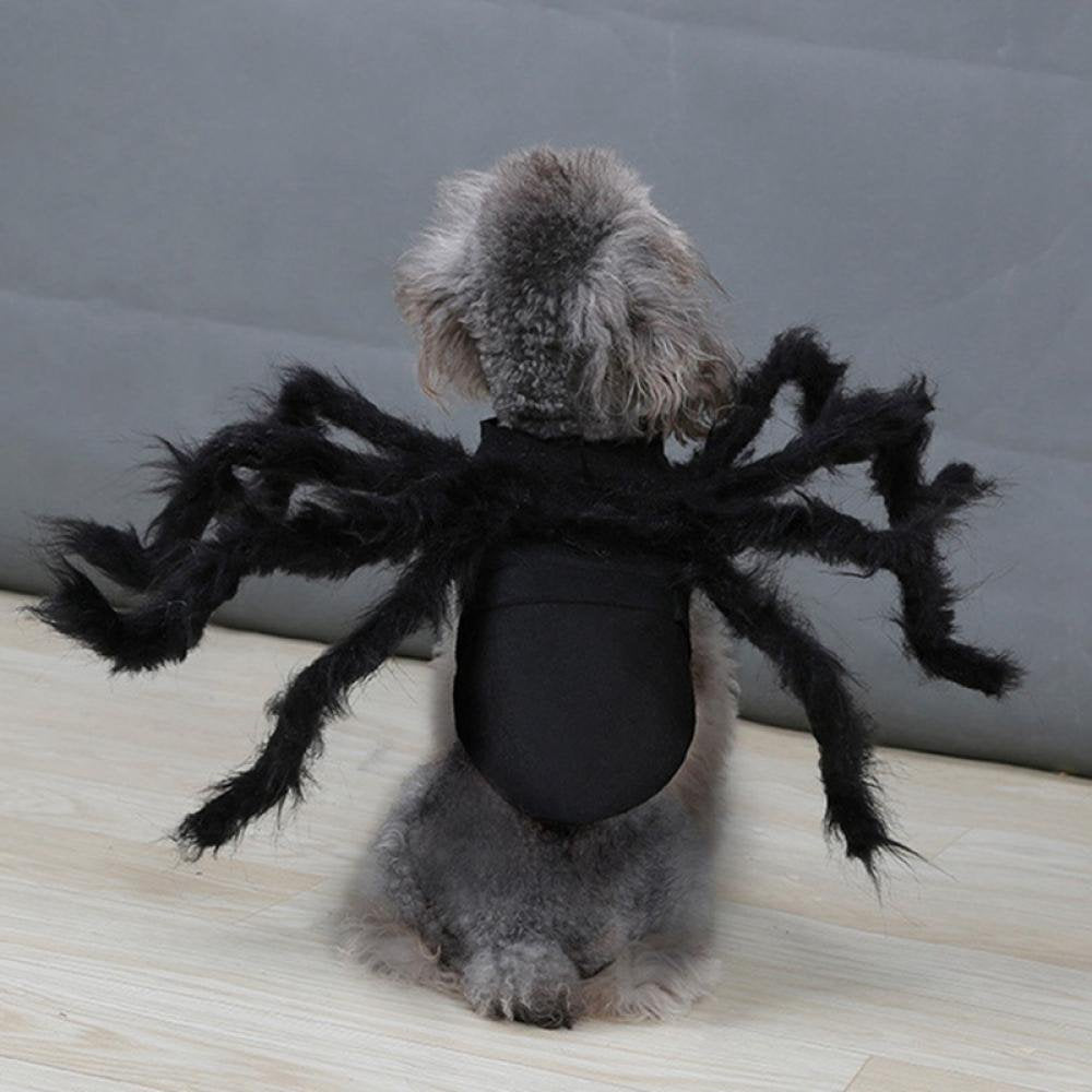 Tarantula Spider Costume, for Pet (Small) Spider - Pet Cosplay Costume Dog Cat Costume Apparel Accessories Animals & Pet Supplies > Pet Supplies > Dog Supplies > Dog Apparel Groomer   