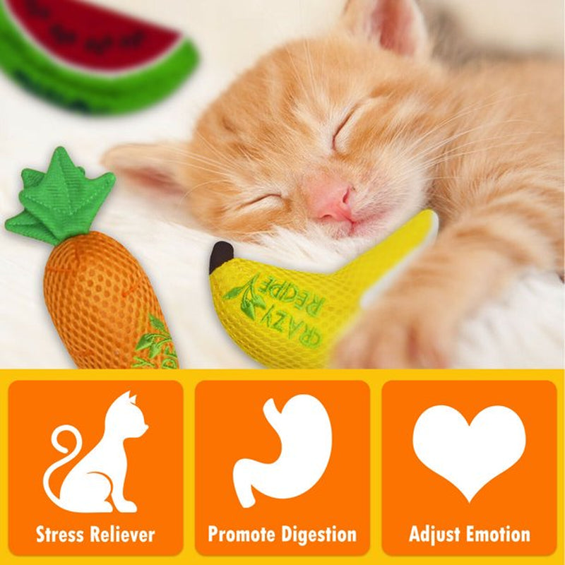 Lepawit 3Pcs Cat Catnip Toys Kitten Toys Cat Chew Toys for Indoor Cats Teeth Cleaning Animals & Pet Supplies > Pet Supplies > Cat Supplies > Cat Toys Lepawit   