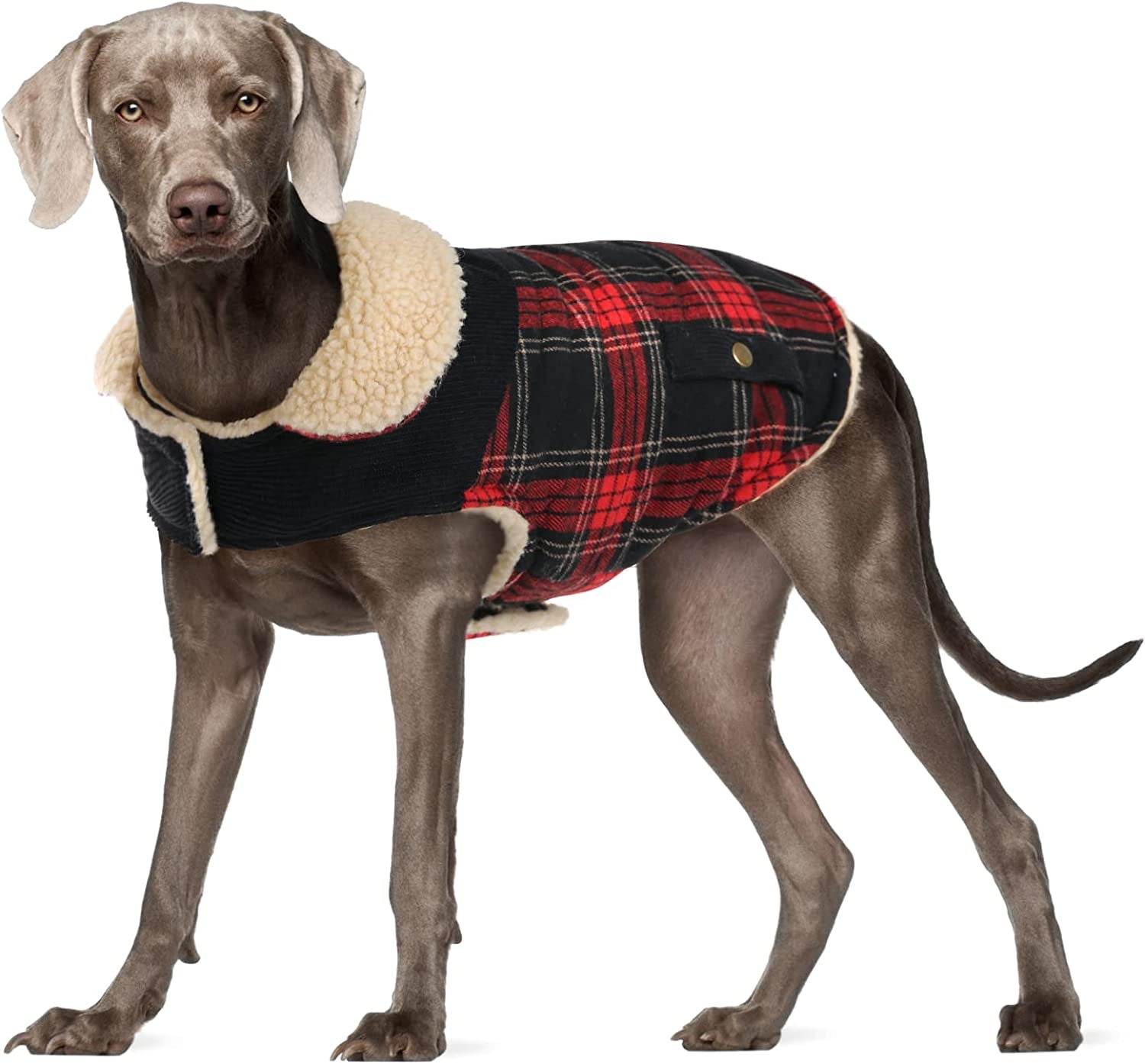 Preferhouse Winter Coat for Small and Medium Dogs, Puppy Plaid Jacket, Cotton Coat for Cold Weather, Windproof Warm Dog Garments, Pet Thickened Outfits Indoor Outdoor, Red XS Animals & Pet Supplies > Pet Supplies > Dog Supplies > Dog Apparel Preferhouse Red X-Large 