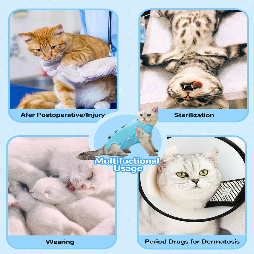 LEXVSS 2 Pieces Cat Recovery Suit, after Surgical Clothes for Abdominal Wounds & Surgery Animals & Pet Supplies > Pet Supplies > Cat Supplies > Cat Apparel LEXVSS   