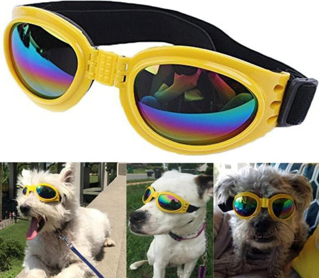 Qlovjun Dog Goggles,Dog Sunglasses UV Protection Wind Protection Dust Protection Waterproof for Open Door Dog Weight over 15Lbs (Red Color) Animals & Pet Supplies > Pet Supplies > Dog Supplies > Dog Apparel Qlovjun Yellow Color  