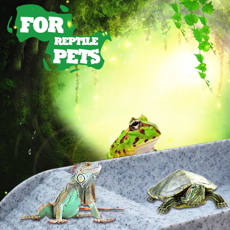 Reptile Turtle Feeding Dish with Ramp for Lizards Amphibians Housing B