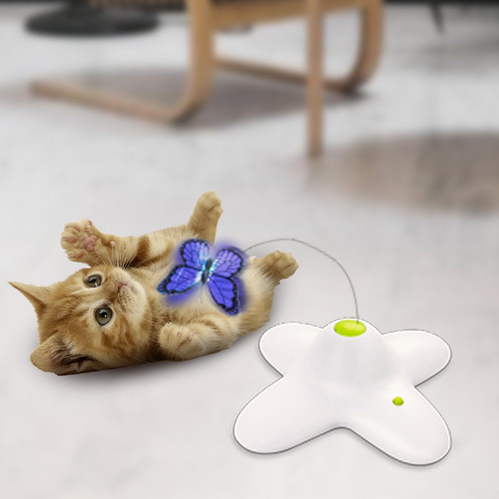 All for Paws Electric Interactive Flutter Bug Butterfly Cat Toy with Two Replacement, Battery Operated Animals & Pet Supplies > Pet Supplies > Cat Supplies > Cat Toys all for paws   