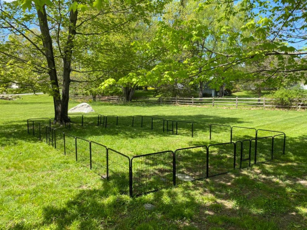 AFANQI One Door Dary Gray Dog Playpen, 31" X 24" Dog Fence, Exercise Pen for Large/Medium/Small Dogs and Cats, Pet Puppy Playpen for RV, Camping, Yard Animals & Pet Supplies > Pet Supplies > Dog Supplies > Dog Kennels & Runs AFANQI   