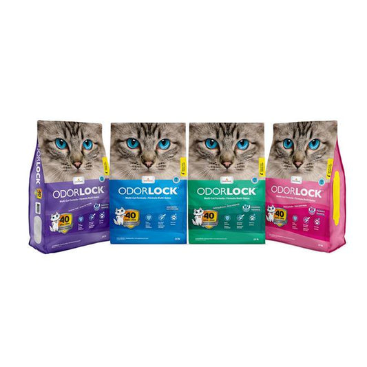 Intersand America 777979210067 13.2 Lbs Odorlock Baby Powder Cat Litter Animals & Pet Supplies > Pet Supplies > Cat Supplies > Cat Litter Intersand America   