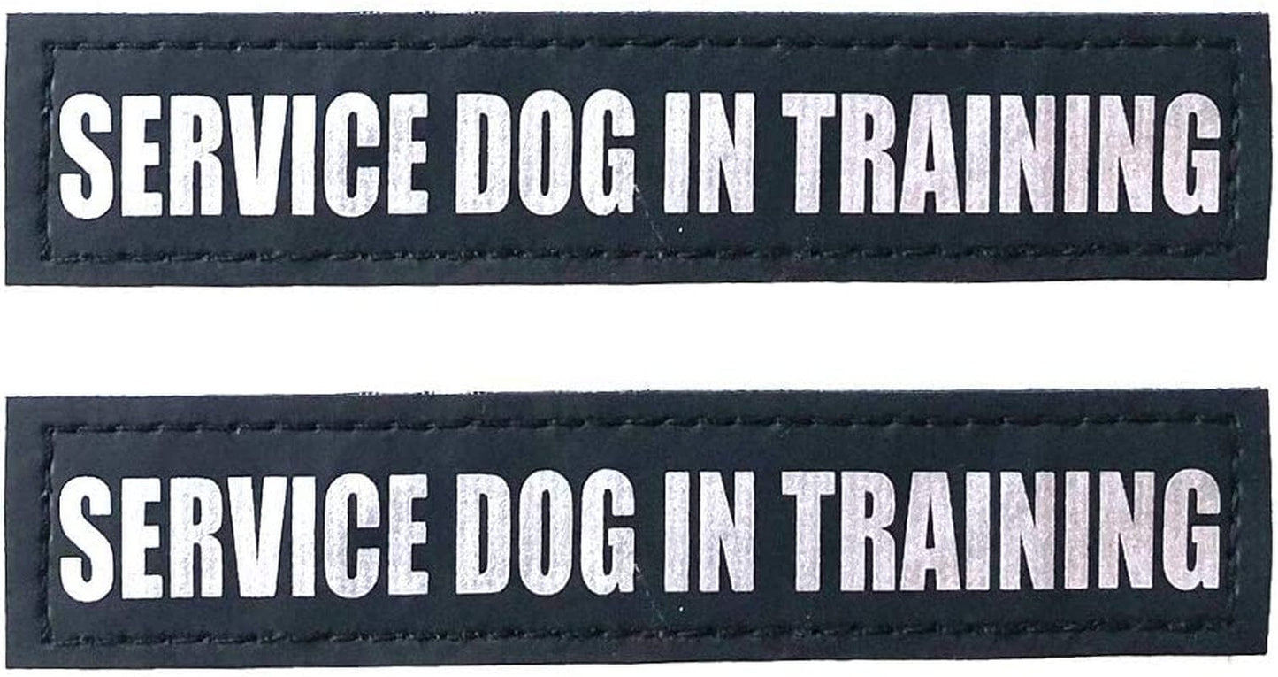 Albcorp Reflective Service Dog Patches with Hook Backing for Service Animal Vests /Harnesses Large (6 X 2) Inch Animals & Pet Supplies > Pet Supplies > Dog Supplies > Dog Apparel ALBCORP SERVICE DOG IN TRAINING XXS or XS - 3.5" x 1" 