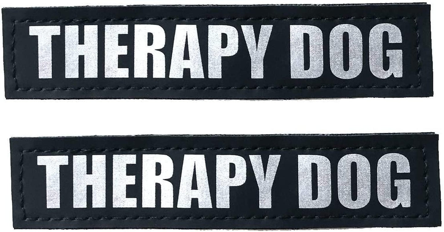 Albcorp Reflective Service Dog Patches with Hook Backing for Service Animal Vests /Harnesses Large (6 X 2) Inch Animals & Pet Supplies > Pet Supplies > Dog Supplies > Dog Apparel ALBCORP THERAPY DOG Small 4.6" x 1" 