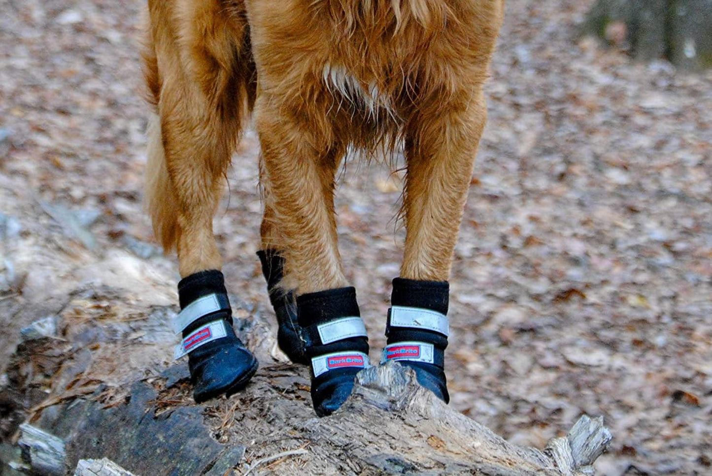 All Weather Neoprene Paw Protector Dog Boots with Reflective Straps in 5 Sizes! (XXL (4.5X4.5 In.)) Animals & Pet Supplies > Pet Supplies > Dog Supplies > Dog Apparel CeeSquared   