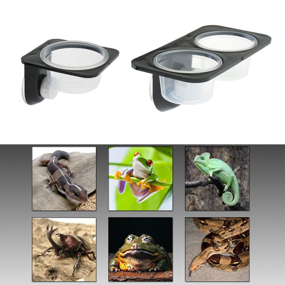 & Amphibians Gecko Suction Cup Feed Bowls Food Container with Bowl for Reptile Food Feeding , Double Lattice Animals & Pet Supplies > Pet Supplies > Reptile & Amphibian Supplies > Reptile & Amphibian Food Esquirla   