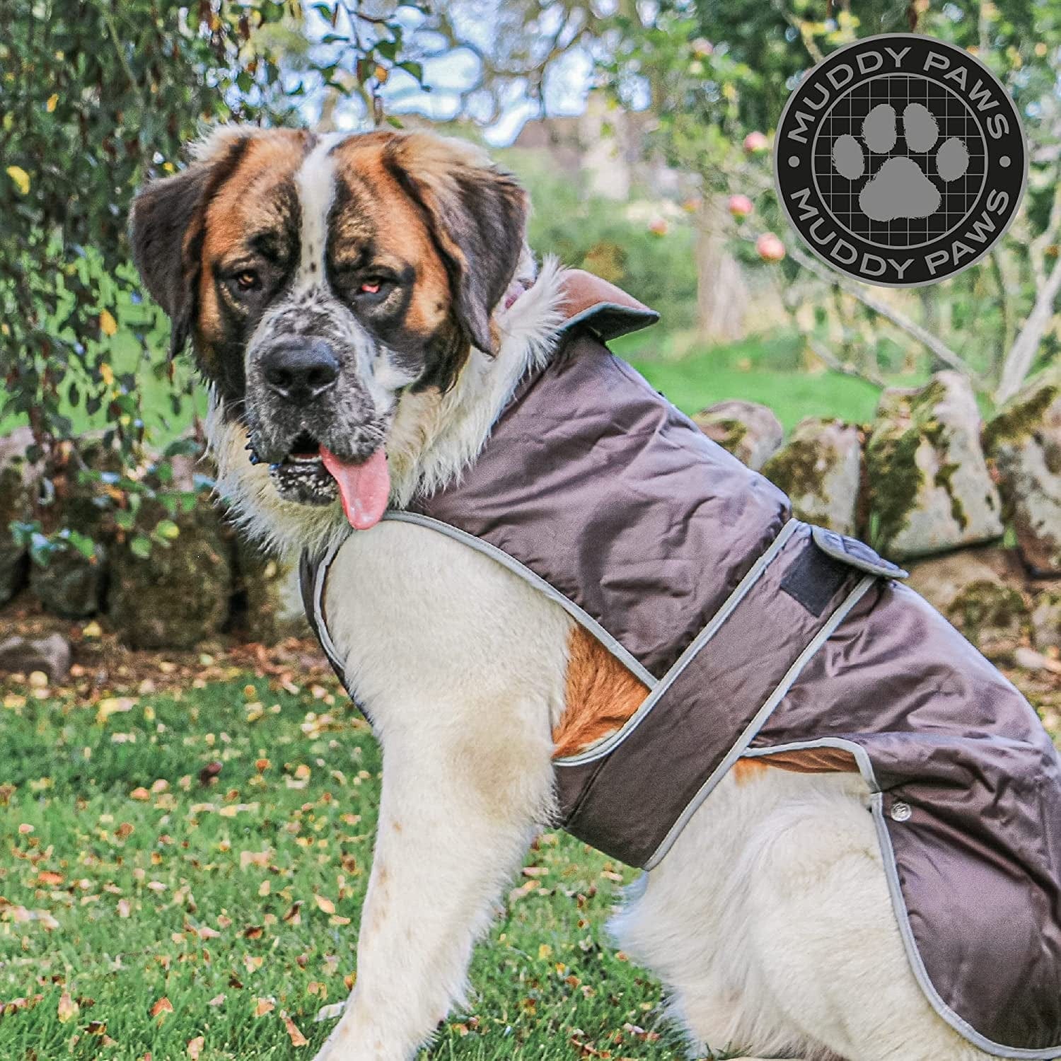 Ancol Stormguard Dog Coat - Chocolate Small 12" X 1 Animals & Pet Supplies > Pet Supplies > Dog Supplies > Dog Apparel Ancol   