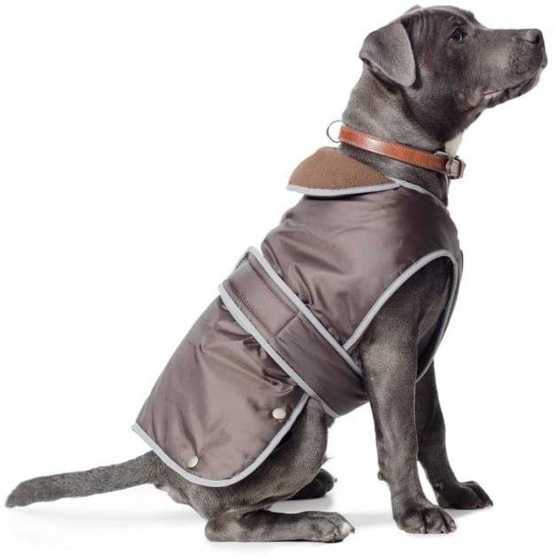 Ancol Stormguard Dog Coat - Chocolate Small 12" X 1 Animals & Pet Supplies > Pet Supplies > Dog Supplies > Dog Apparel Ancol   