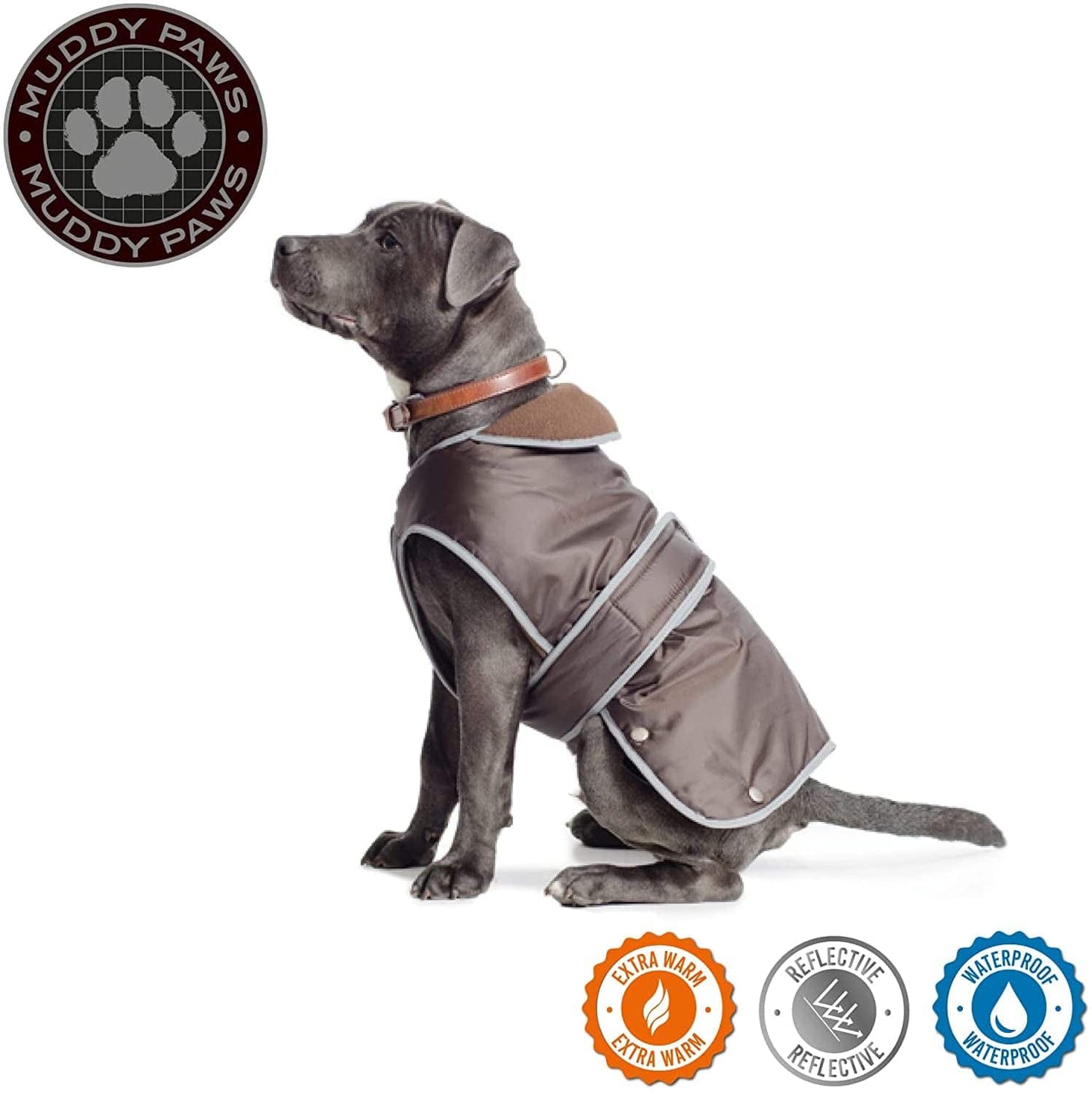 Ancol Stormguard Dog Coat - Chocolate Small 12" X 1 Animals & Pet Supplies > Pet Supplies > Dog Supplies > Dog Apparel Ancol   