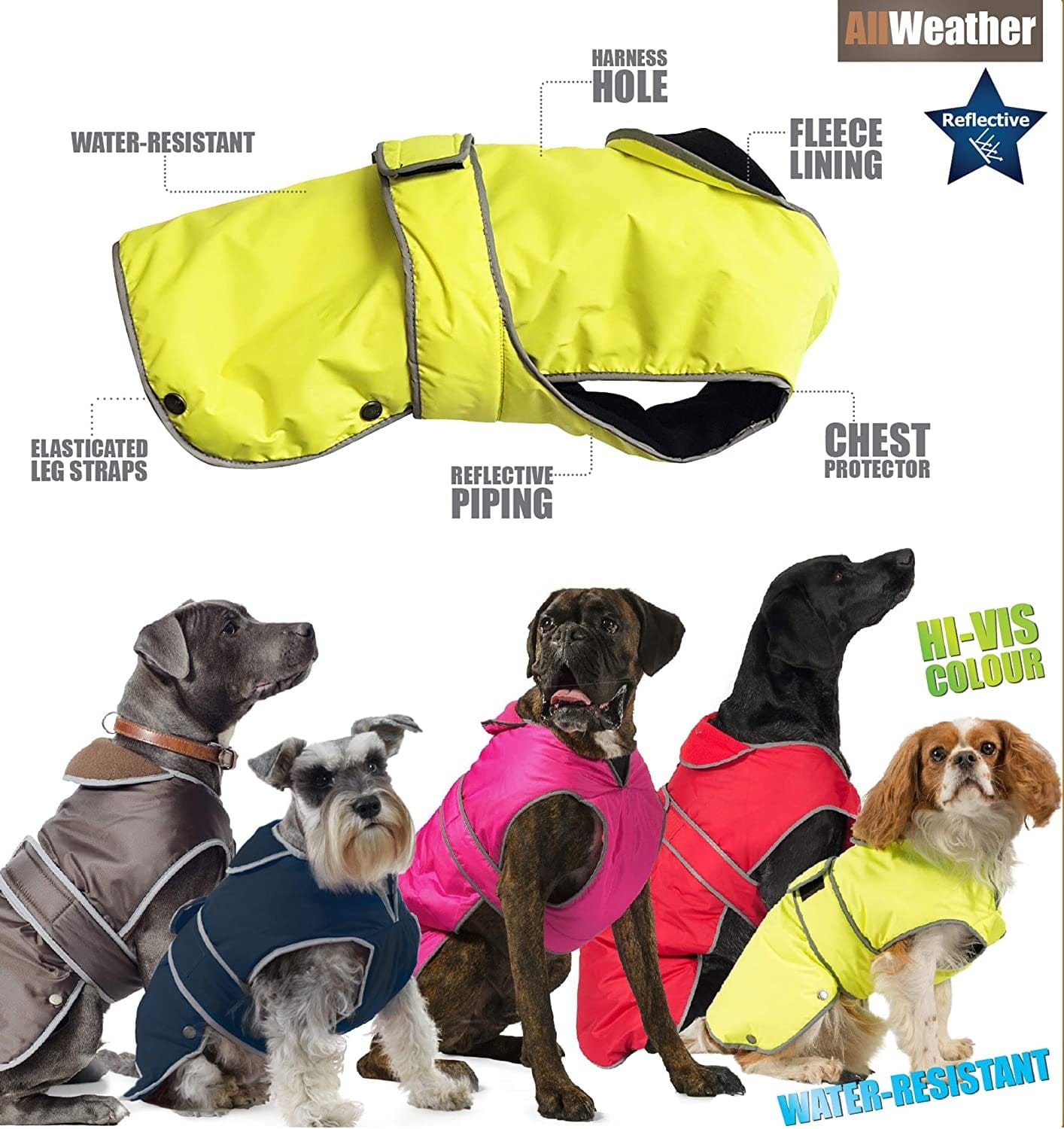 Ancol Stormguard Dog Coat - Chocolate Small 12" X 1 Animals & Pet Supplies > Pet Supplies > Dog Supplies > Dog Apparel Ancol   