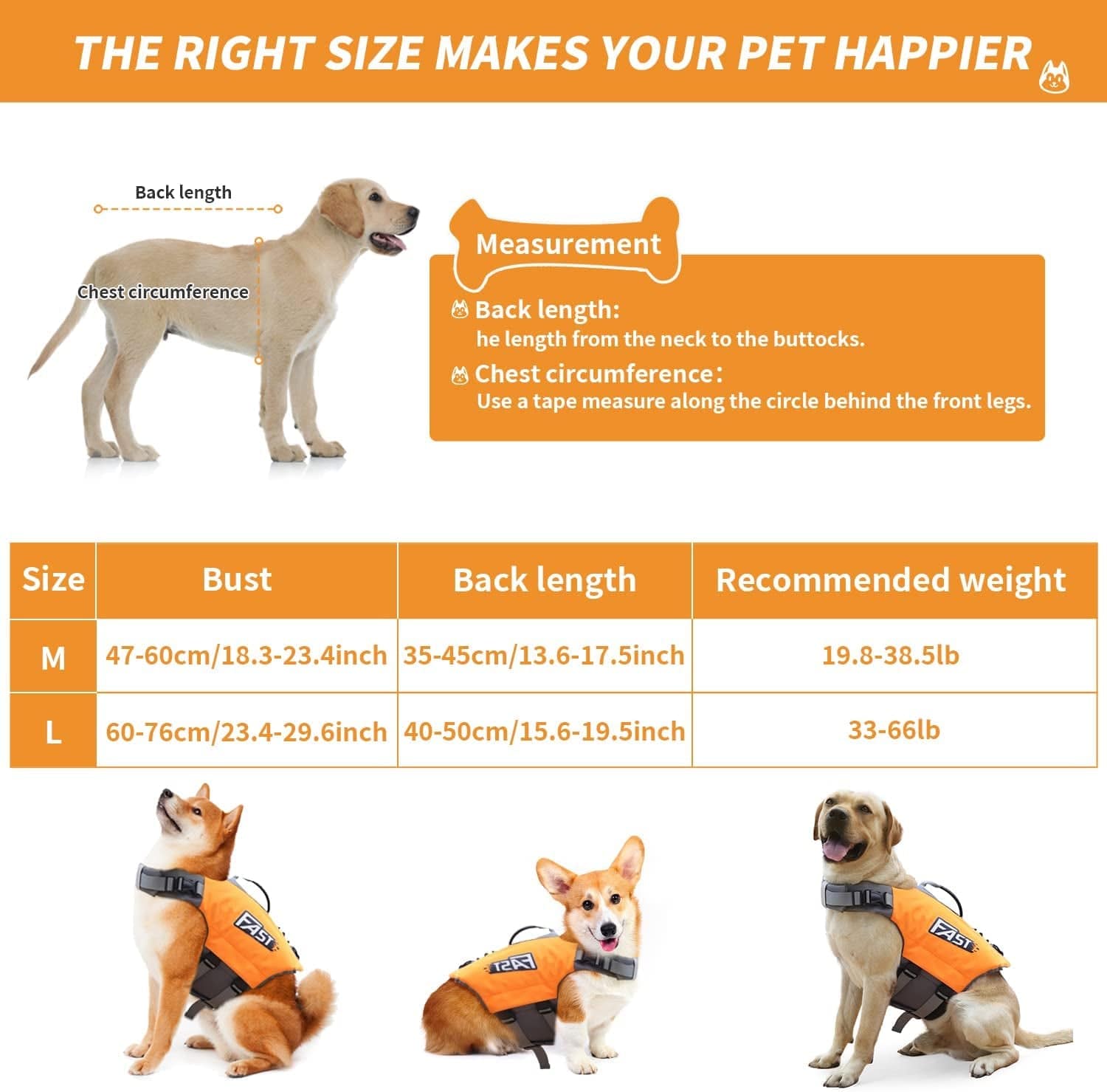 how do you measure a dogs bust