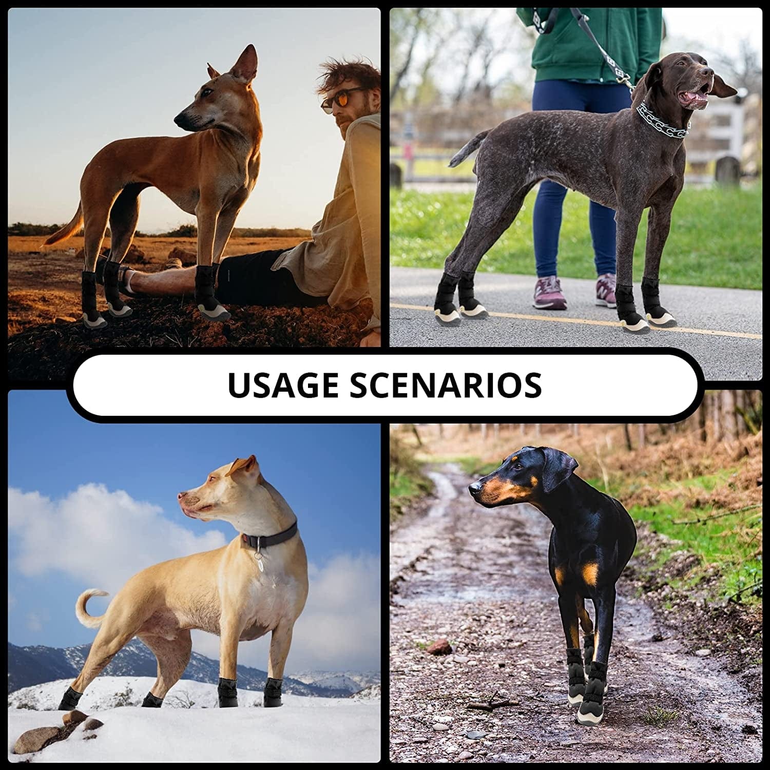 Anti-Slip Dog Snow Boots Waterproof Dog Shoes for Small Medium Large Dogs with Reflective Straps Pet Dog Boots for Hiking.4Pcs Soft Breathable Paw Protectors for Dogs Outdoor Night Use Animals & Pet Supplies > Pet Supplies > Dog Supplies > Dog Apparel MUSIMC   