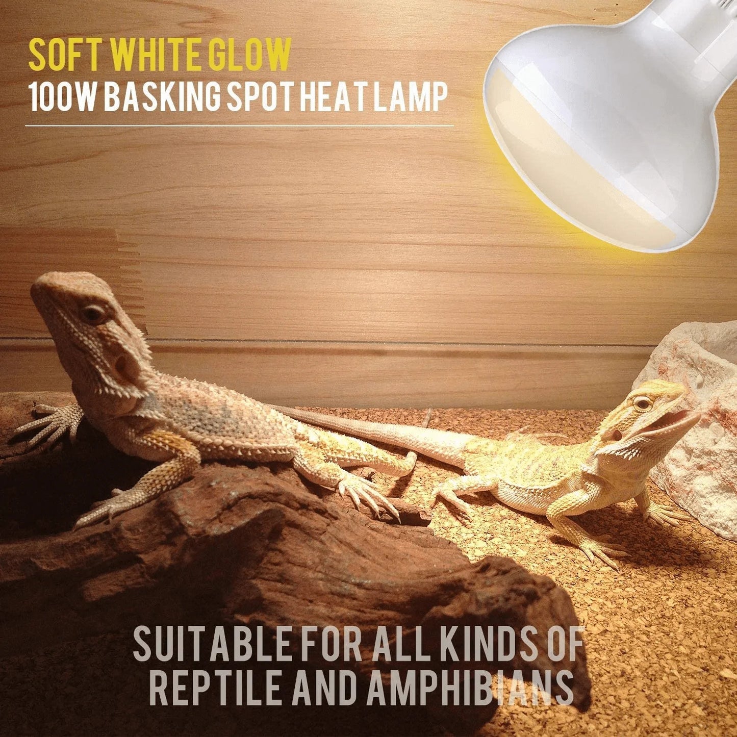 Aomryom UVA 100W Basking Spot Heat Lamp Bulb Soft White Light Glass Heat Bulbs for Reptiles & Amphibians - 2 Pack