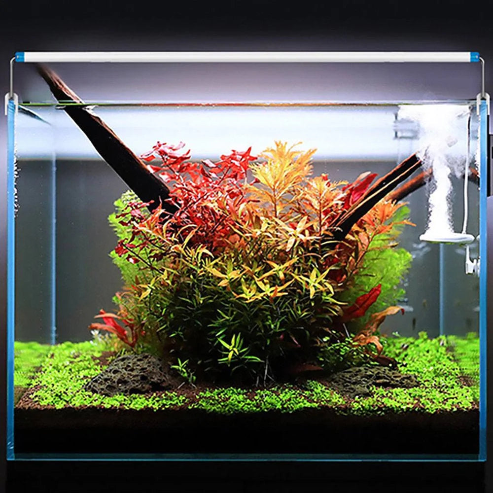 Aquarium Light Adjustable Support Aquatic Plant Lighting Aluminum Alloy Slim LED EU Plug Animals & Pet Supplies > Pet Supplies > Fish Supplies > Aquarium Lighting Alvena   